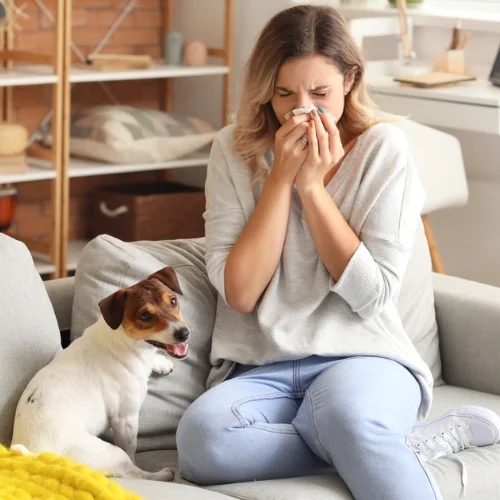 How to Reduce Allergies With the Right Furniture